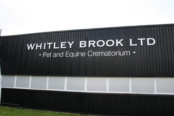 Built Up Letters - Image 5